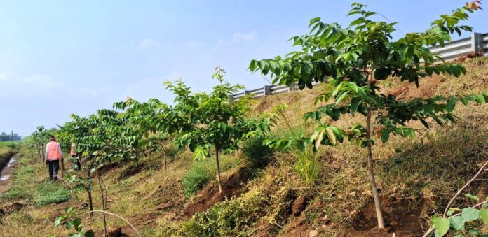 WhatsApp Image 2025-09-20 at 11.27.03 AM (1)