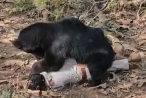 20251018101517_7 (1)